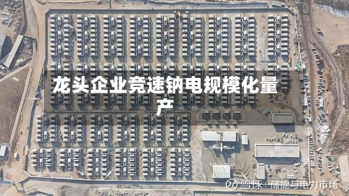 龙头企业竞速钠电规模化量产-第2张图片