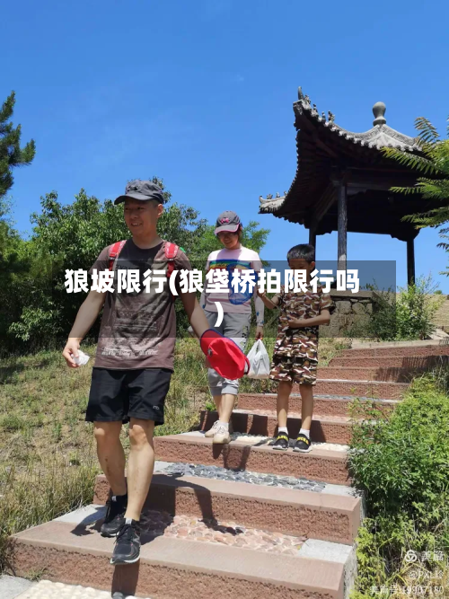 狼坡限行(狼垡桥拍限行吗)-第1张图片