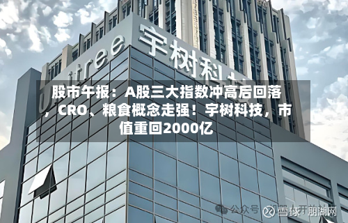 股市午报：A股三大指数冲高后回落，CRO	、粮食概念走强！宇树科技	，市值重回2000亿-第2张图片