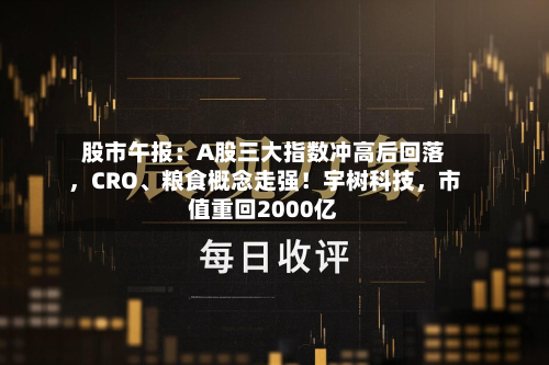 股市午报：A股三大指数冲高后回落	，CRO、粮食概念走强！宇树科技，市值重回2000亿-第3张图片