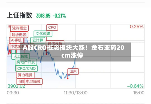 A股CRO概念板块大涨！金石亚药20cm涨停-第1张图片