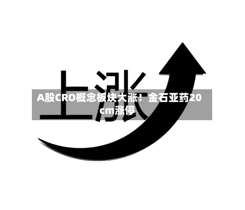 A股CRO概念板块大涨！金石亚药20cm涨停-第2张图片