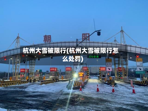 杭州大雪被限行(杭州大雪被限行怎么处罚)-第2张图片