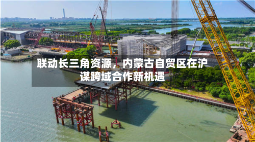 联动长三角资源，内蒙古自贸区在沪谋跨域合作新机遇-第2张图片