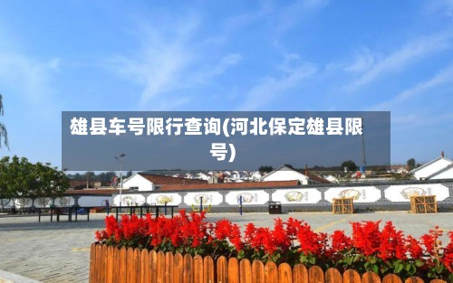 雄县车号限行查询(河北保定雄县限号)-第1张图片