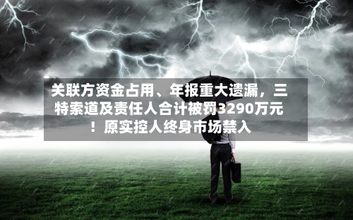 关联方资金占用、年报重大遗漏，三特索道及责任人合计被罚3290万元！原实控人终身市场禁入-第3张图片