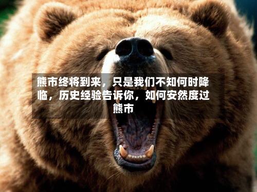熊市终将到来，只是我们不知何时降临	，历史经验告诉你，如何安然度过熊市-第1张图片