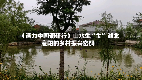 （活力中国调研行）山水生“金” 湖北襄阳的乡村振兴密码-第1张图片