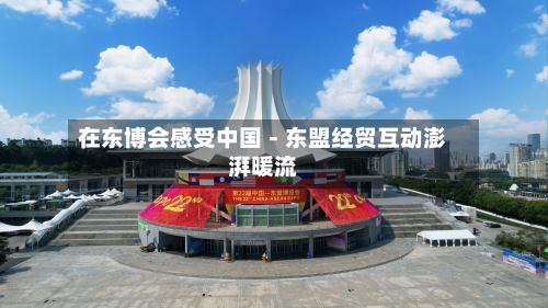 在东博会感受中国－东盟经贸互动澎湃暖流-第1张图片