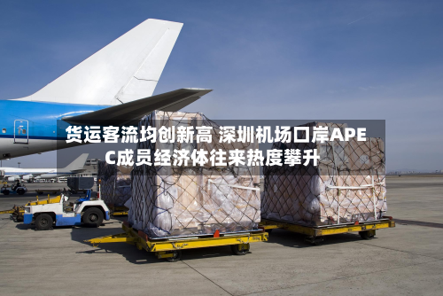 货运客流均创新高 深圳机场口岸APEC成员经济体往来热度攀升-第1张图片