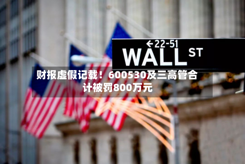 财报虚假记载！600530及三高管合计被罚800万元-第2张图片