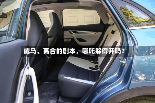 威马	、高合的剧本，哪吒躲得开吗？-第2张图片