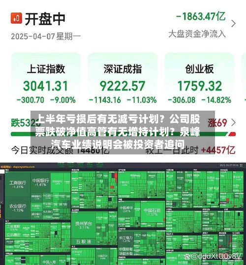 上半年亏损后有无减亏计划？公司股票跌破净值高管有无增持计划？泉峰汽车业绩说明会被投资者追问-第2张图片