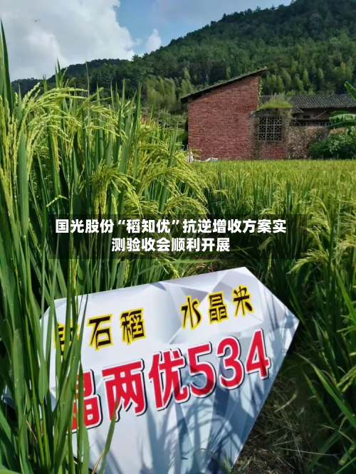 国光股份“稻知优”抗逆增收方案实测验收会顺利开展-第1张图片