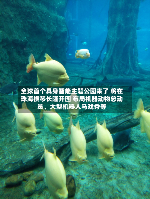 全球首个具身智能主题公园来了 将在珠海横琴长隆开园 布局机器动物总动员、大型机器人马戏秀等-第1张图片