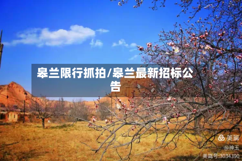 皋兰限行抓拍/皋兰最新招标公告-第2张图片