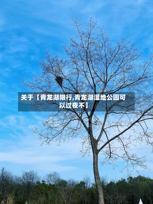 关于【青龙湖限行,青龙湖湿地公园可以过夜不】-第2张图片