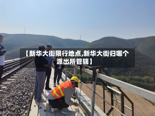 【新华大街限行地点,新华大街归哪个派出所管辖】-第1张图片