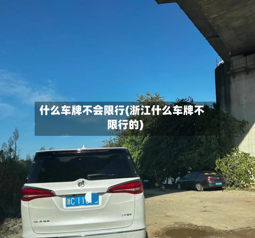 什么车牌不会限行(浙江什么车牌不限行的)-第2张图片