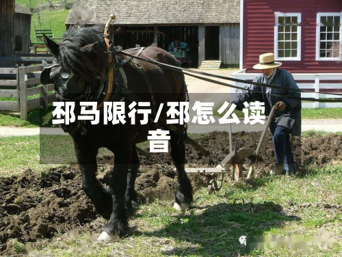 邳马限行/邳怎么读音-第3张图片