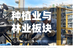 种植业与林业板块短线拉升，新赛股份触及涨停-第2张图片