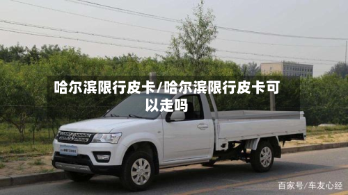 哈尔滨限行皮卡/哈尔滨限行皮卡可以走吗-第2张图片