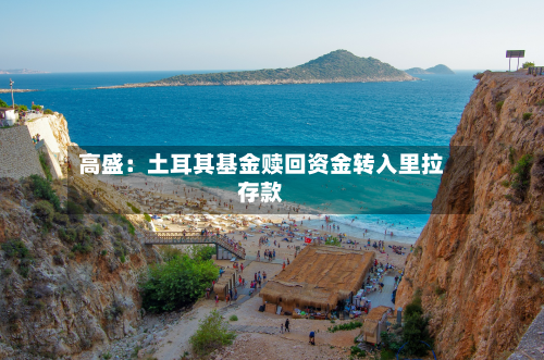 高盛：土耳其基金赎回资金转入里拉存款-第2张图片