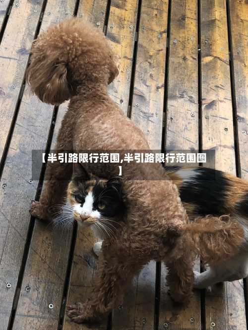 【半引路限行范围,半引路限行范围图】-第3张图片