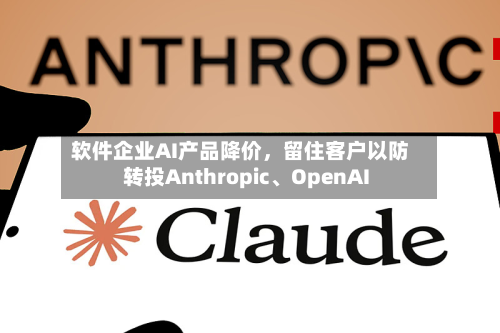 软件企业AI产品降价	，留住客户以防转投Anthropic、OpenAI-第2张图片