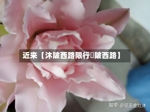近来【沐陂西路限行渼陂西路】-第3张图片