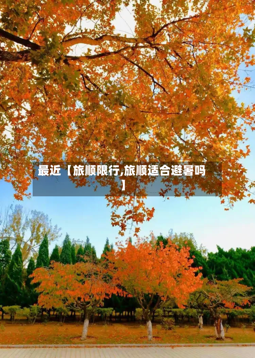 最近【旅顺限行,旅顺适合避暑吗】-第1张图片
