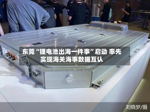 东莞“锂电池出海一件事”启动 率先实现海关海事数据互认-第1张图片