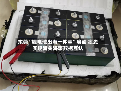 东莞“锂电池出海一件事	”启动 率先实现海关海事数据互认-第2张图片